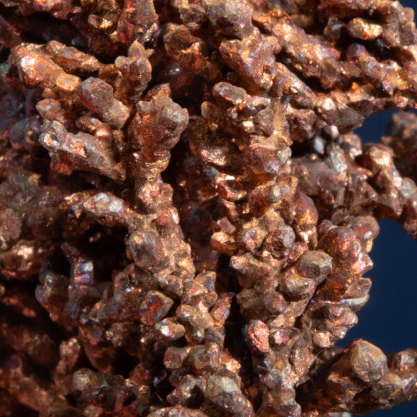 Copper - Image 4