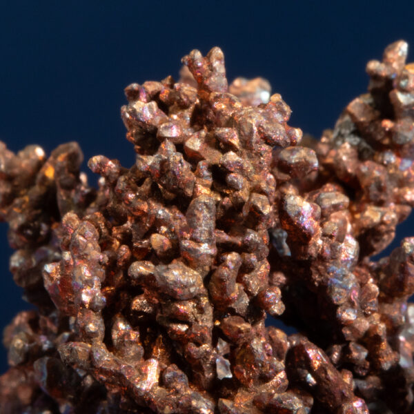 Copper - Image 5