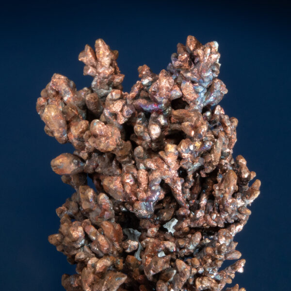 Copper - Image 2