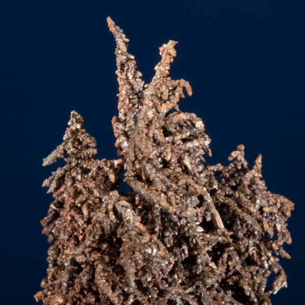 Copper - Image 2