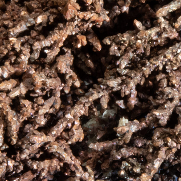Copper - Image 4