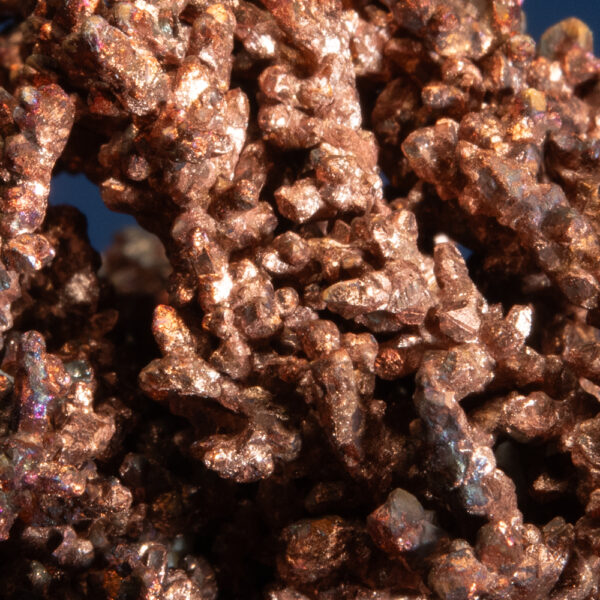 Copper - Image 3