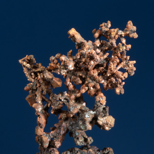 Copper - Image 2