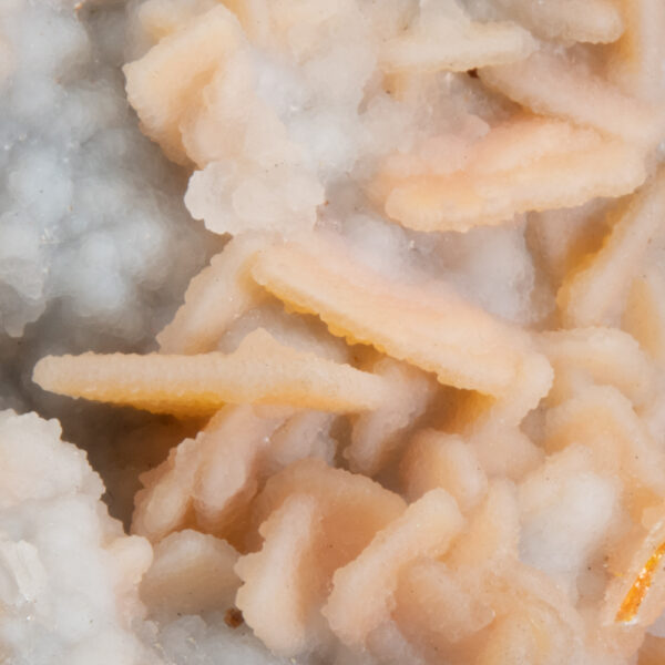 Wulfenite with Quartz - Image 5