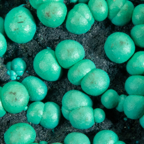 Chrysocolla - Image 2