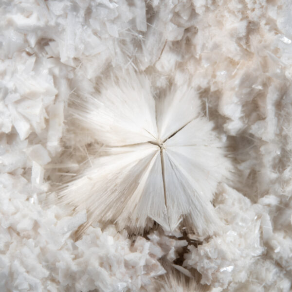 Mesolite on Laumontite - Image 2