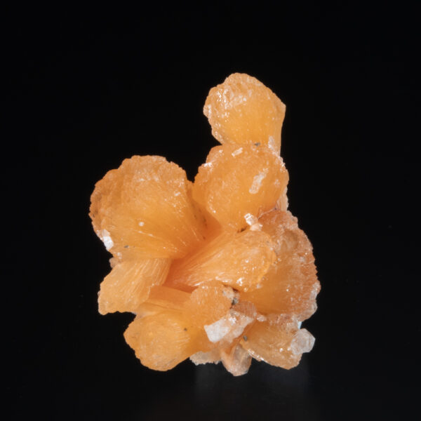 Stilbite