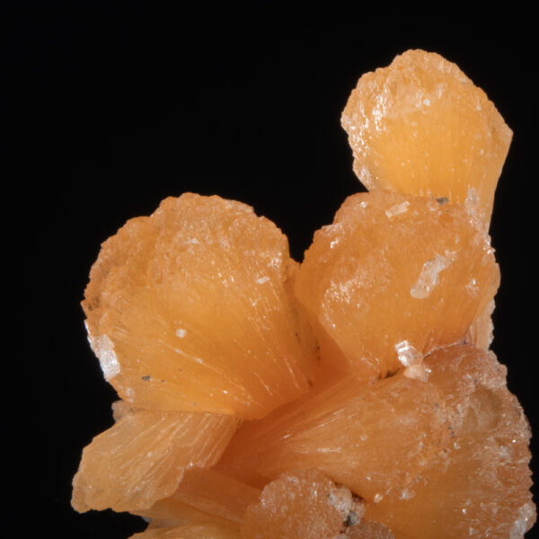 Stilbite - Image 2