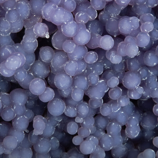 Quartz, var. Amethyst - Image 2